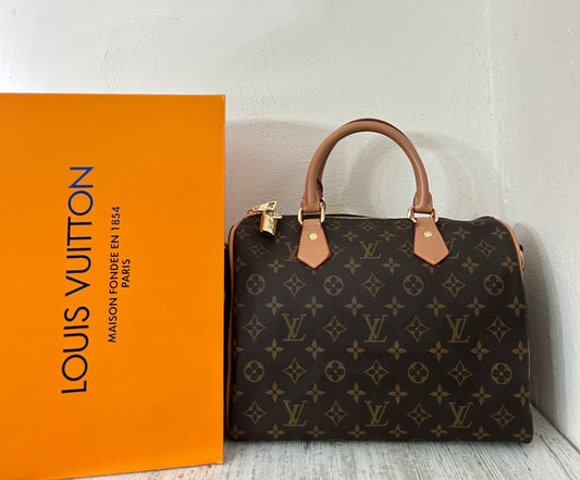 Louis Vuitton Big Speedy